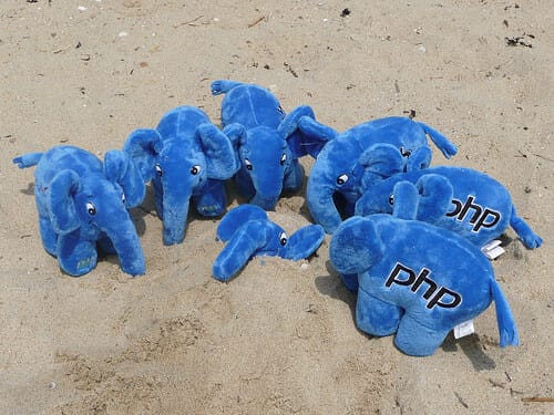 PHP Snippet: Display Last X Characters of a URL